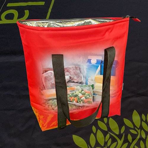 Frost Felt Cooler Bag