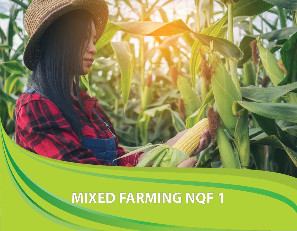 Mixed Farming NQF1
